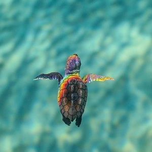 Meet your Posher, Trinity